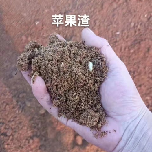 枣庄苹果渣，优质苹果渣