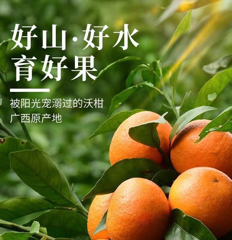 小胡的平價(jià)水果店