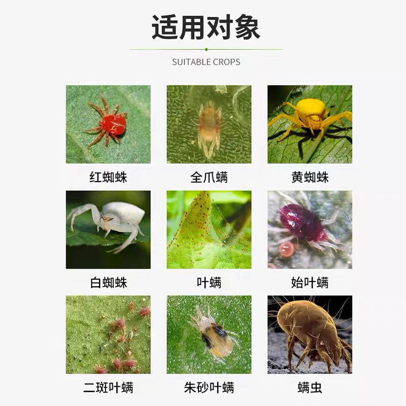 联肼乙螨唑45%  高含量红蜘蛛二斑叶螨虫卵全杀持药期一个月