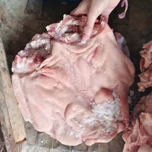 沂南县国产肥猪无耳头3－5斤