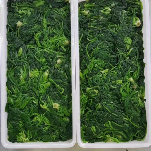 南阳速冻荠菜