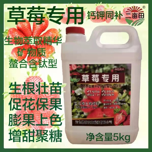 邯郸草莓专用生根壮苗、促花保果、膨果着色、增甜聚糖