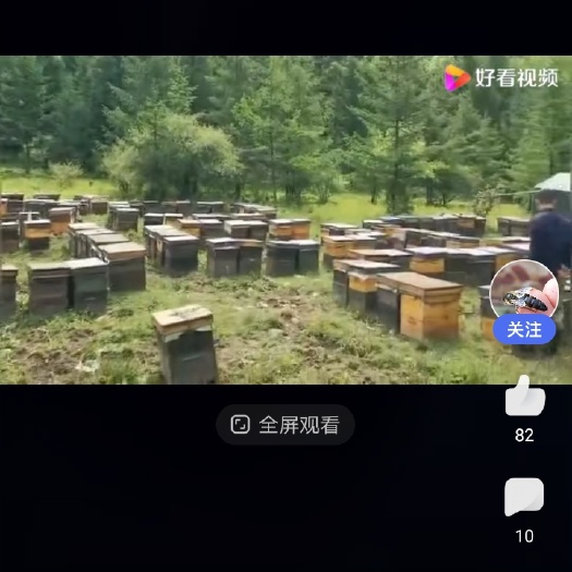 桂平市意蜂场转让，基本全新蜂箱，整场卖了
