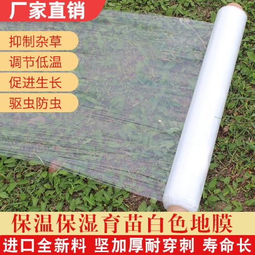 新沂市农用白色地膜加厚透明保温保湿大棚种菜草莓育苗防草小拱棚专用膜