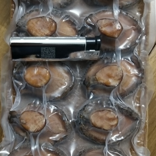 南安市十头鲍汁鲍鱼