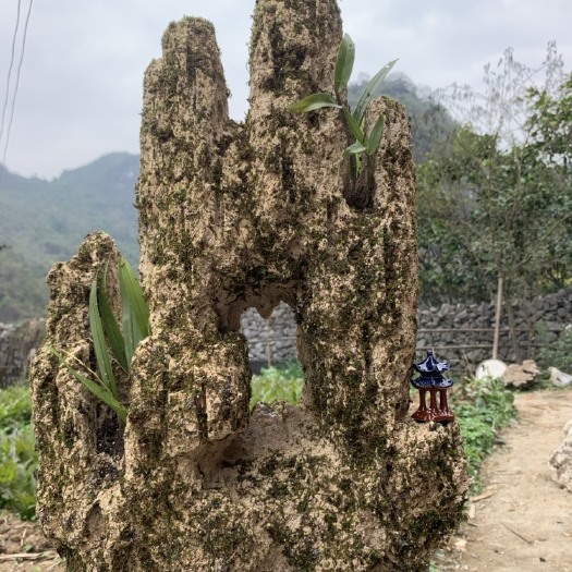 忻城县吸水石景观