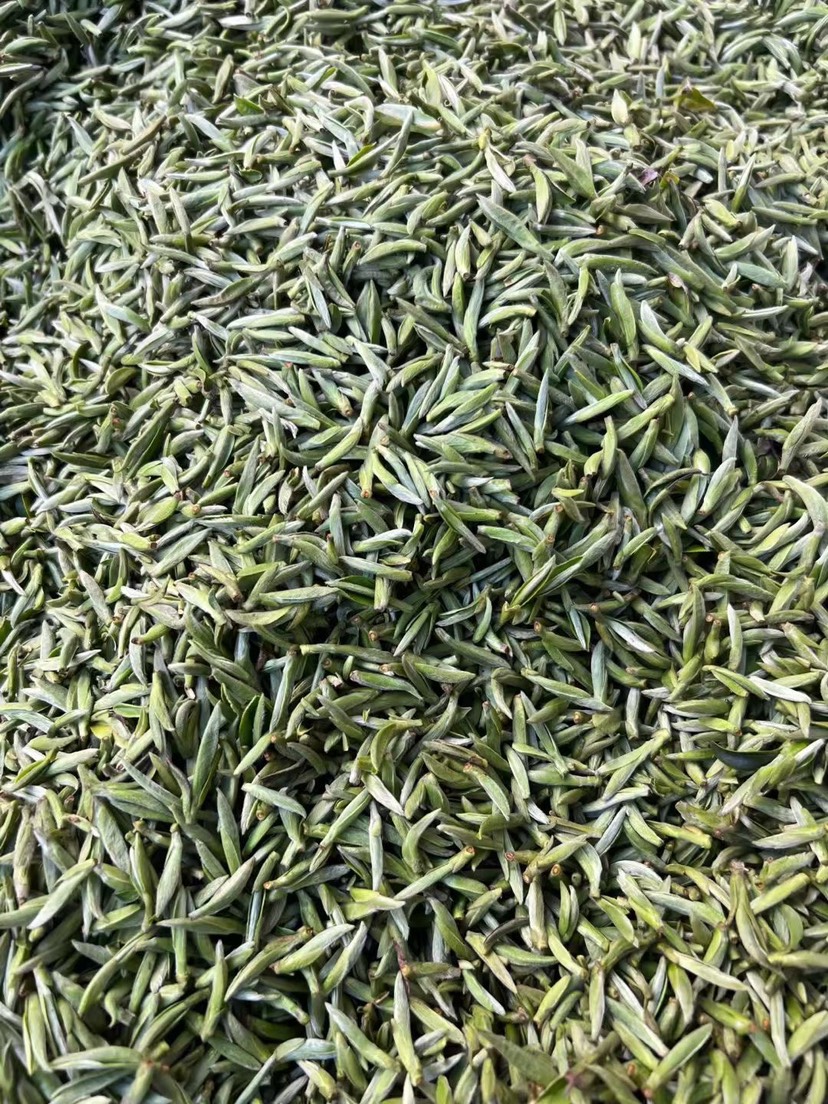 福鼎白毫银针让舌尖带您去趟福鼎茶山！可带发礼盒包装一斤起批发