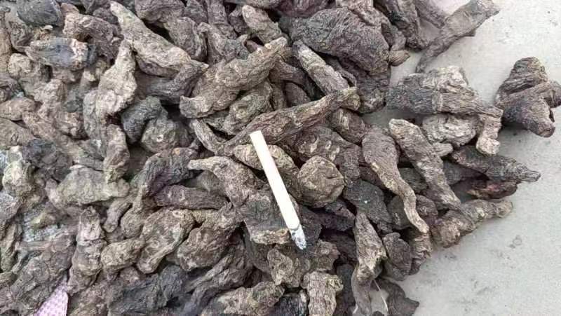 洞口县正品无硫生地