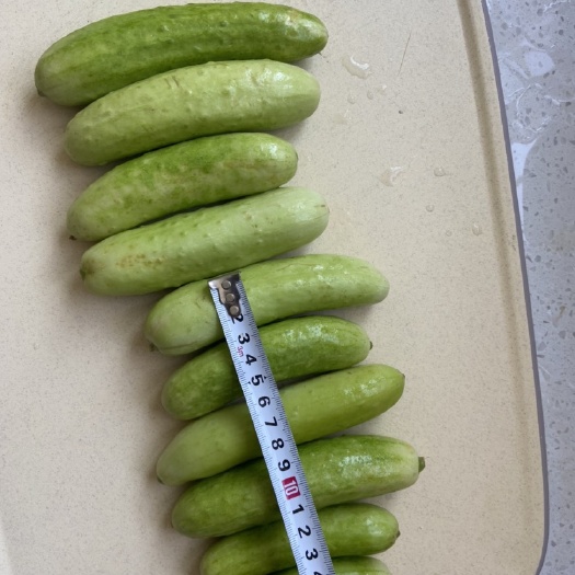 赣州白玉小黄瓜