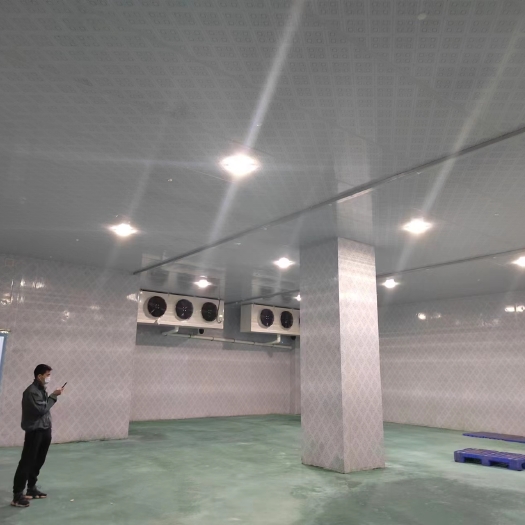佛山冷藏设备定制各类型不同温度冷库 2吨起建冷库工程一站式服务商