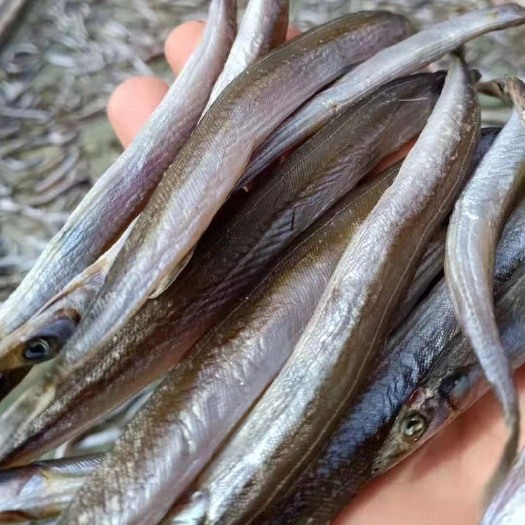 东港市沙里粘鱼干油滚子黄海银鱼干带籽鱼干