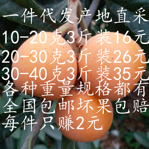 昆明枇杷果新鲜水果一件代发全国包邮