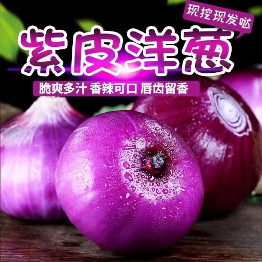 长沙紫红皮洋葱新鲜洋葱现挖洋葱圆葱头批发农家自种蔬菜