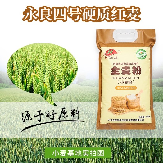 五原县河套面粉全麦粉精选优质小麦5Kg/袋