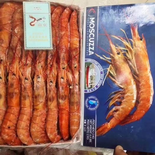 成都阿根廷红虾 L1  L2