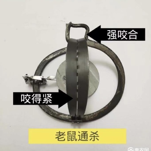 钦州园林防护10厘米除四害老鼠夹子型号千奇百种产地直销批发零售