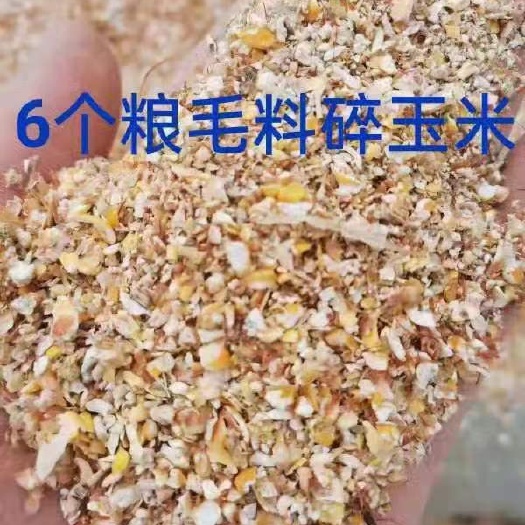 郓城县碎玉米出售，净粮毛料，价格不高！！适合猪牛羊鸡鸭鹅养殖用
