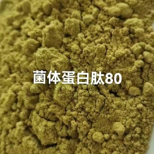 石家庄蛋白补充饲料