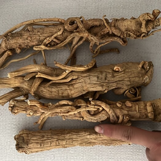 陇西县防风 各种规格