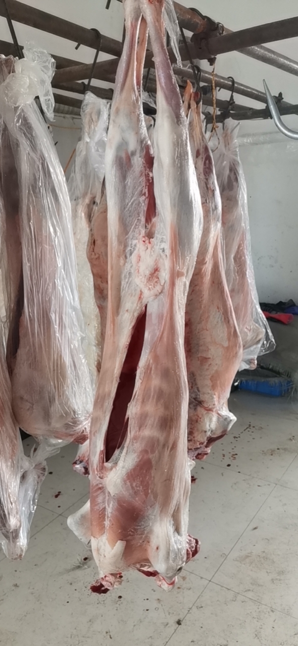 甘肃祁连牧场-烤全羊，大小14-20斤，不腥不膻，肉质鲜嫩