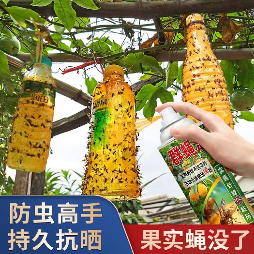 郑州群蝇汇瓜果实蝇诱粘剂果蝇专用灭杀引诱剂果园果树针蜂克星诱捕药