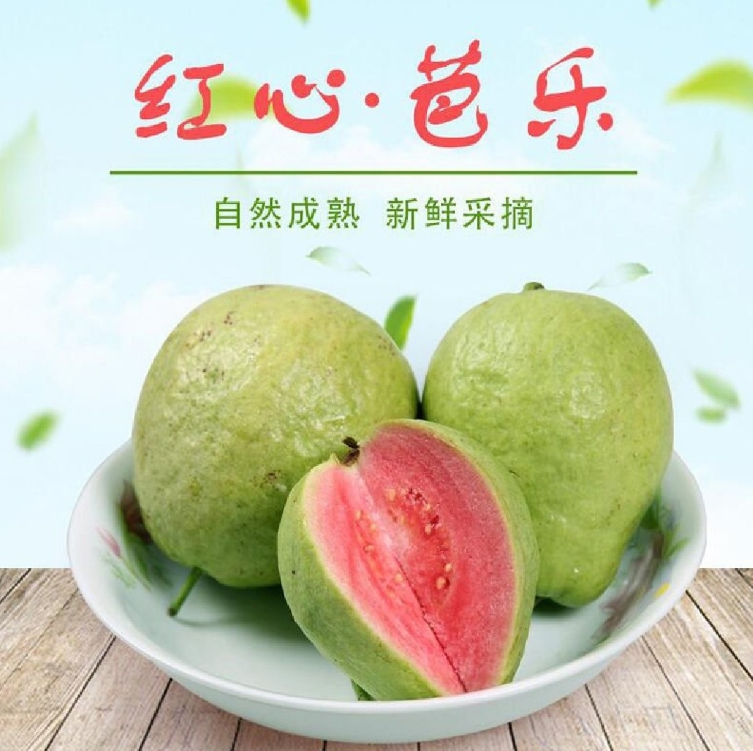 广西红心芭乐番石榴新鲜产地一件代发批发2斤3斤5斤9斤
