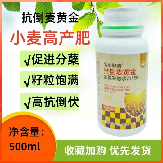 新沂市抗倒麦黄金含氨基酸水溶肥料小麦水稻高产叶面肥促进分蘖籽粒饱满