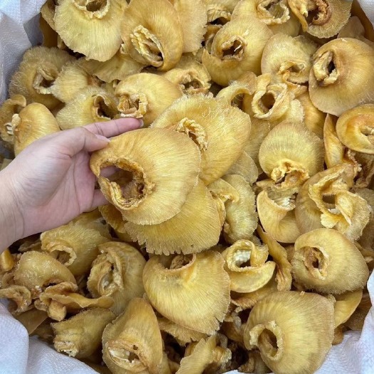 广州澳洲金钩翅10-12头