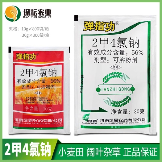 临沂二甲四氯钠2甲4氯纳绿霸弹指功水稻小麦玉米田除草剂
