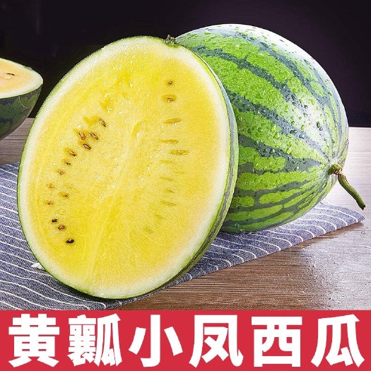 沭阳县西瓜秧苗
