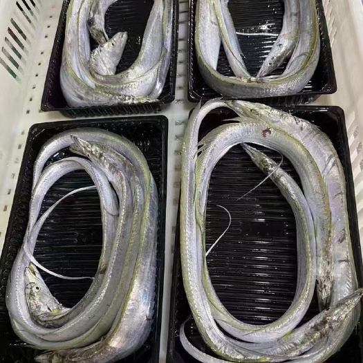 霞浦县小黄鱼
