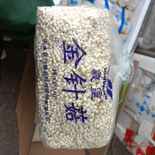 南昌白金针菇
