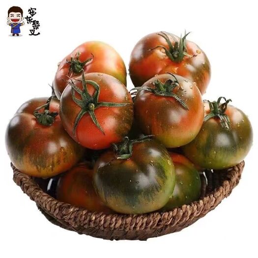 眉县五斤草莓西红柿铁皮柿子