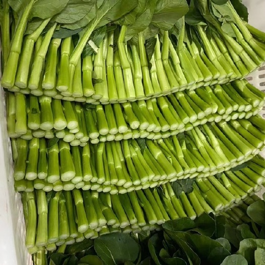 广汉市菜心
