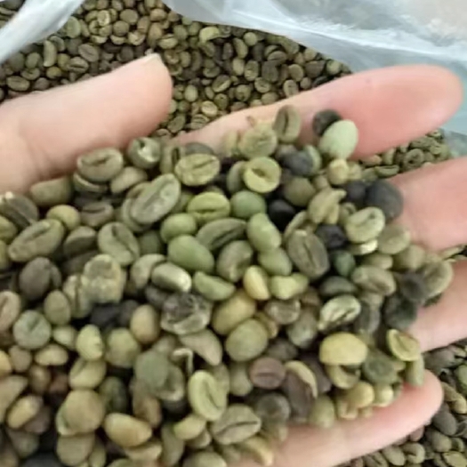 宁明县越南咖啡豆