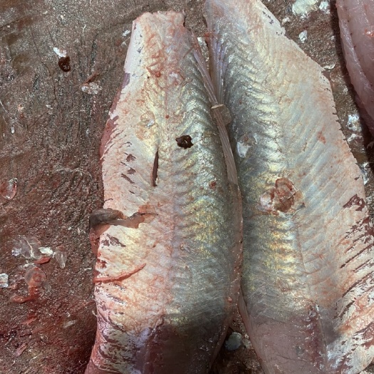 深圳不带皮的鲮鱼肉纯手工去皮