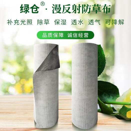 桐城市包邮漫反光防草布白黑防草布双色防草布果园盖草布果树除草布保湿