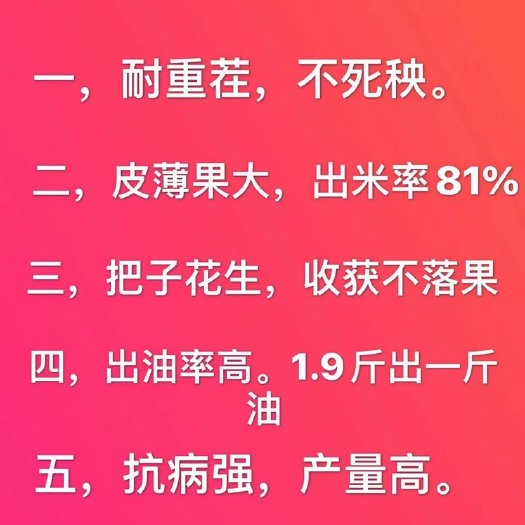 郑州易花八号电视上榜品牌 明星代言销售全国花生市场
