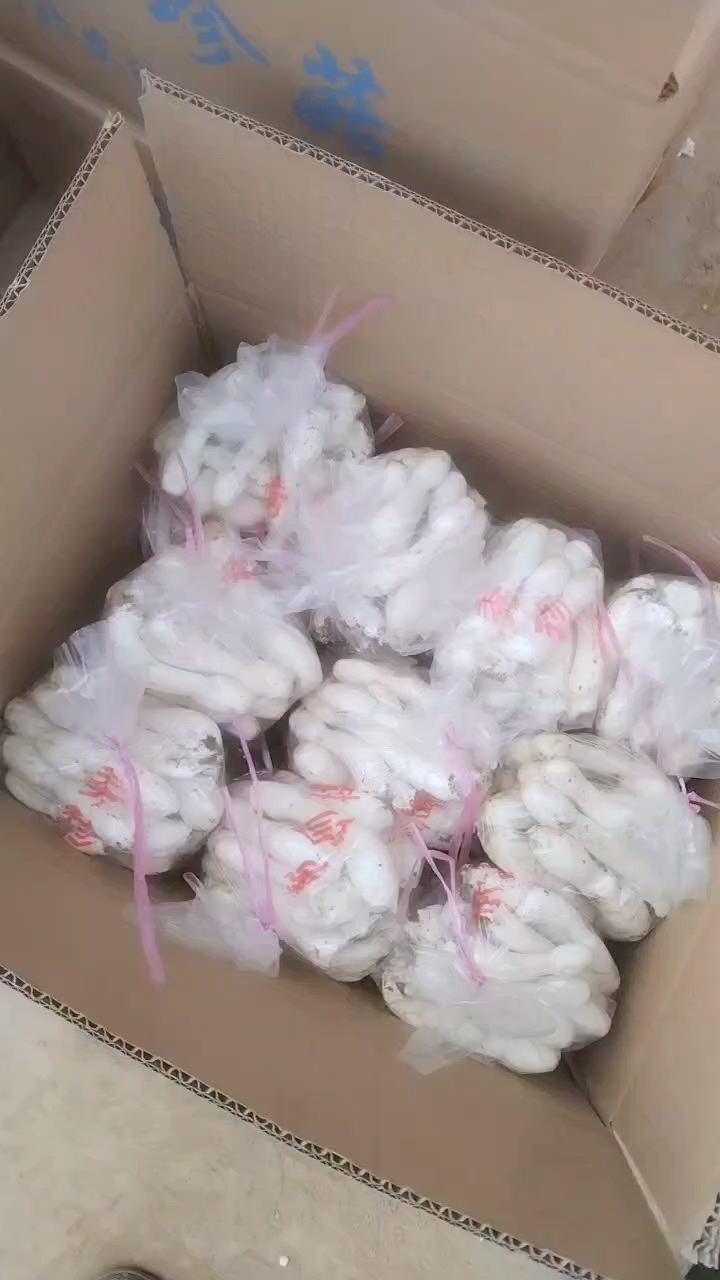 赵县秀珍菇，小黑平，鸡腿菇。产地直发。