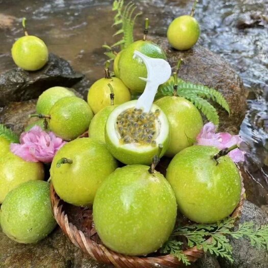 钦蜜9号百香果全甜无酸的水果百香果