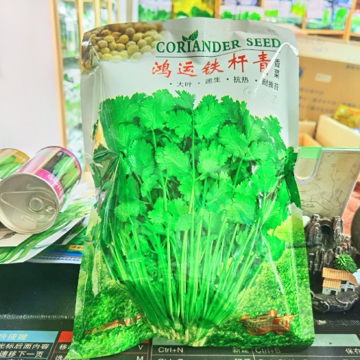 西安香菜种子速生大油叶香菜芫荽耐热耐寒抗抽苔性好
