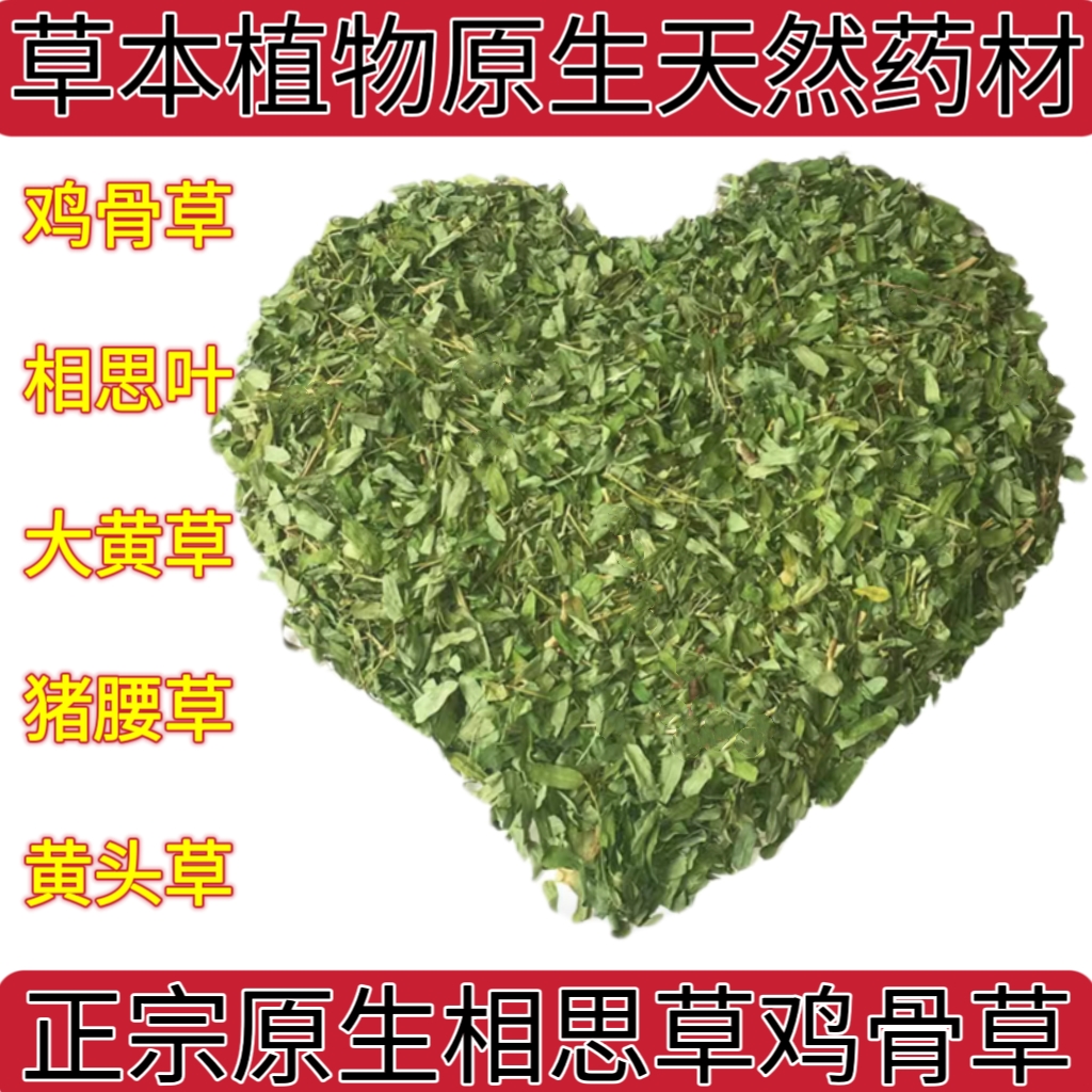 相思草图片功效中药图片