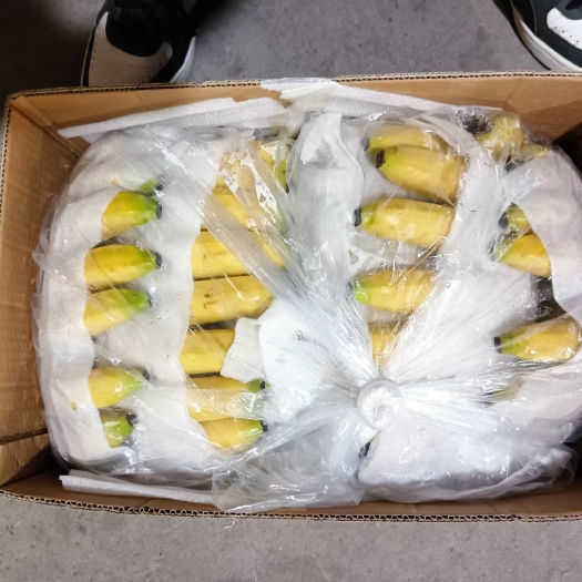 邯郸超市好货，大量供应，物美价廉，科程水果市场35号香蕉库！