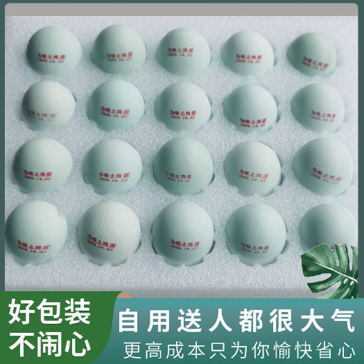甘谷县绿壳蛋