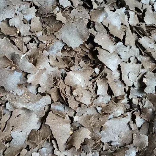 田东县大量现货供应一手茶麸