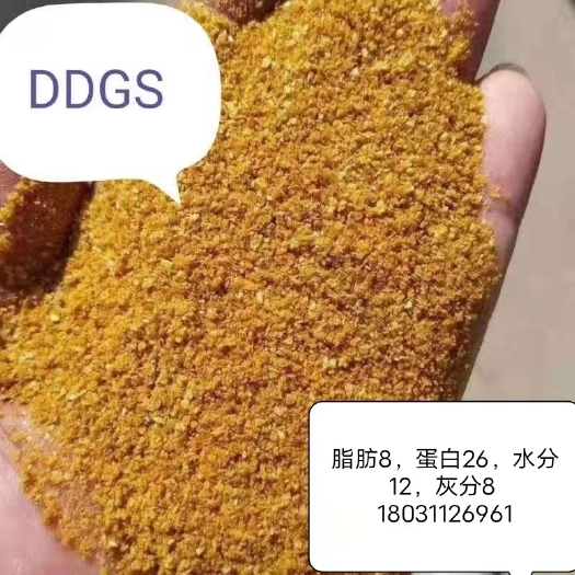 石家庄大工厂酒糟，一手货源，量大的来