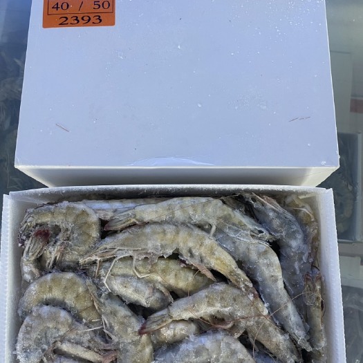 东海县盐冻大虾40-50