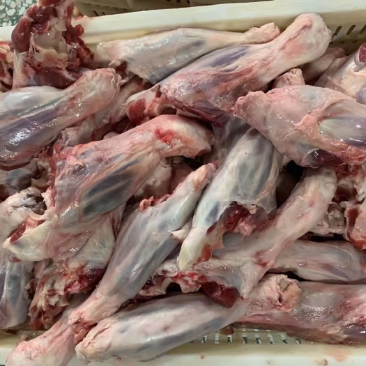 河间市羊前腱