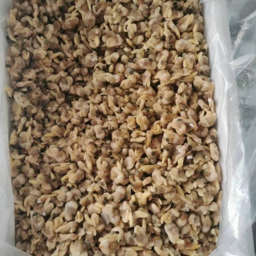 单冻黄蚬肉，
