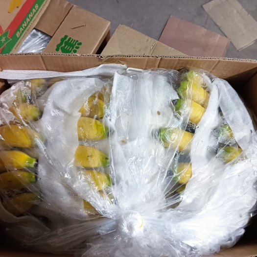 邯郸云南好货，果面干净，物美价廉，大量供应，欢迎咨询！